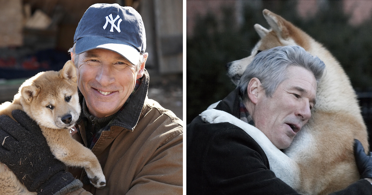 "Hachiko" stal hjärtan med Richard Gere så gick det sen för filmhunden