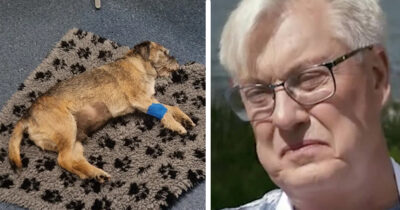 Lars-Åke Wilhelmsson, mer känd som Babsan berättar att hunden Brisse ska avlivas