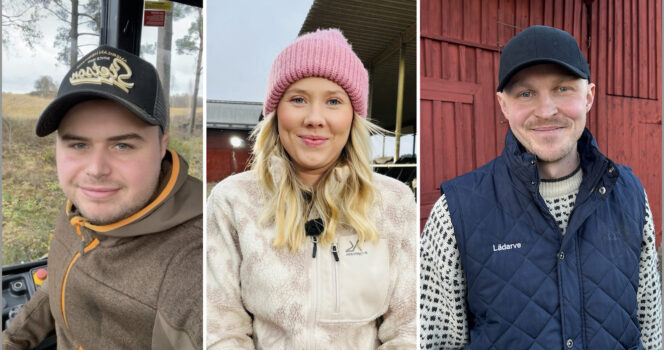 Bonde söker fru 2025