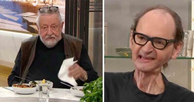 Erik Videgård, Leif GW Persson