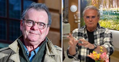 Steffo Törnquist. Foto: TT & TV4