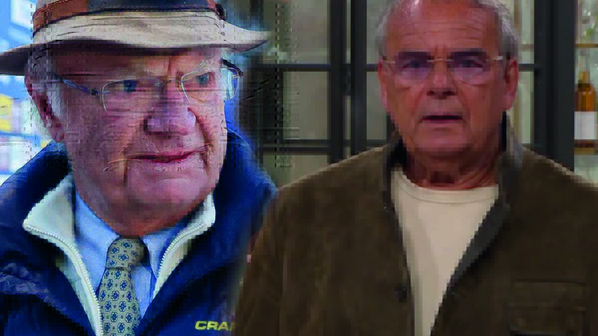 Kung Carl Gustaf, Steffo Törnquist