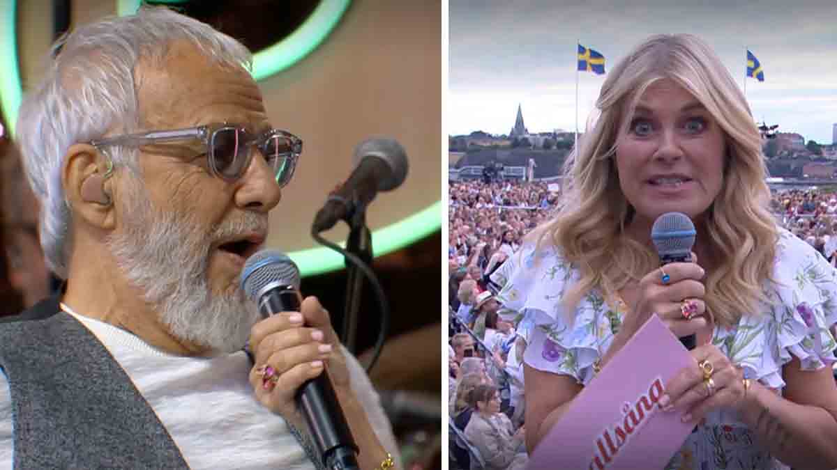 Pernilla Wahlgren, Cat Stevens