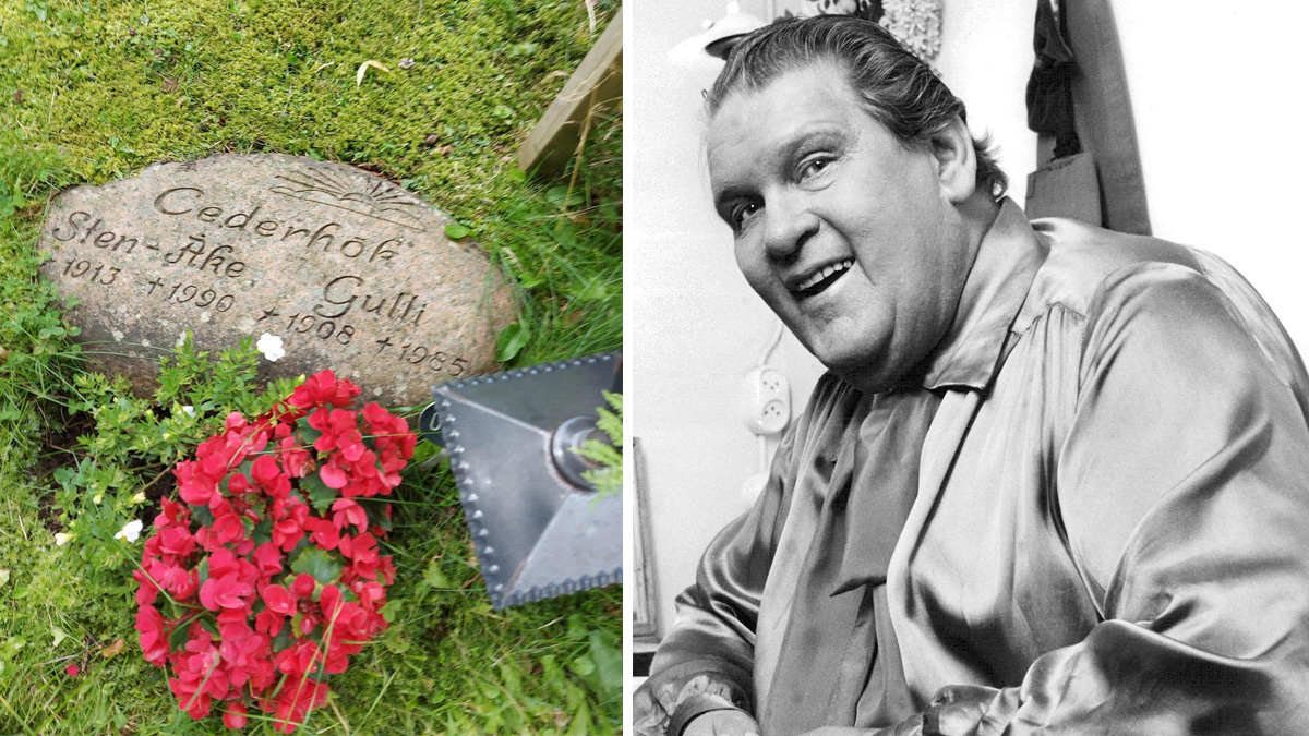 Skådespelaren Sten-Åke Cederhök