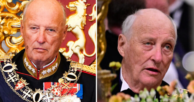 kung harald