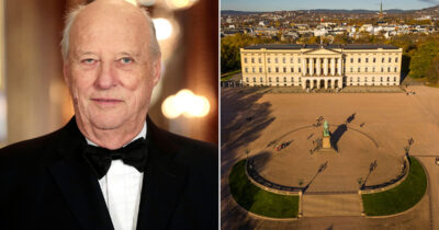 kung harald, slottet