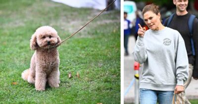 Rio sitter på gräsmatta i koppel, kronprinsessan pekar med fingret medan en man skrattar bakom henne