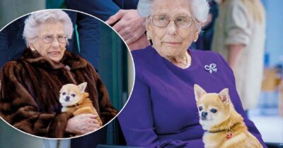 Prinsessan Astrid hunden Wilma