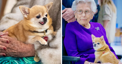 Prinsessan Astrid med chihuahua Wilma i knät