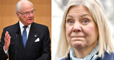 Kung Carl Gustaf XVI talade under riksmötets öppnande