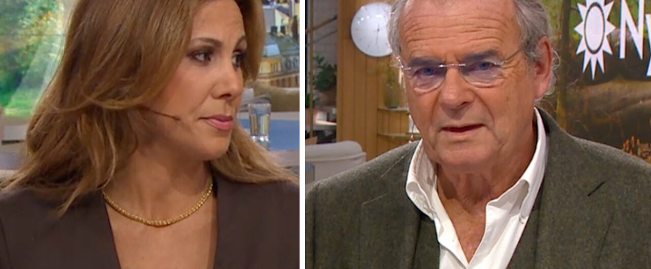 Steffo Törnquist i Nyhetsmorgon