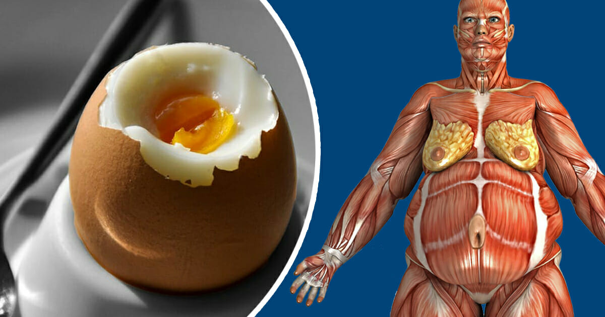 Äta ägg varje dag